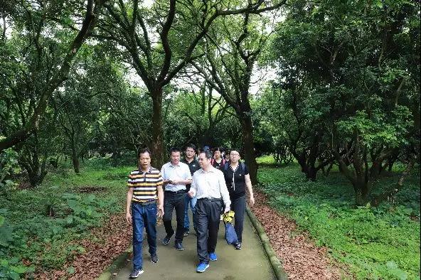 （插入图片5、6）